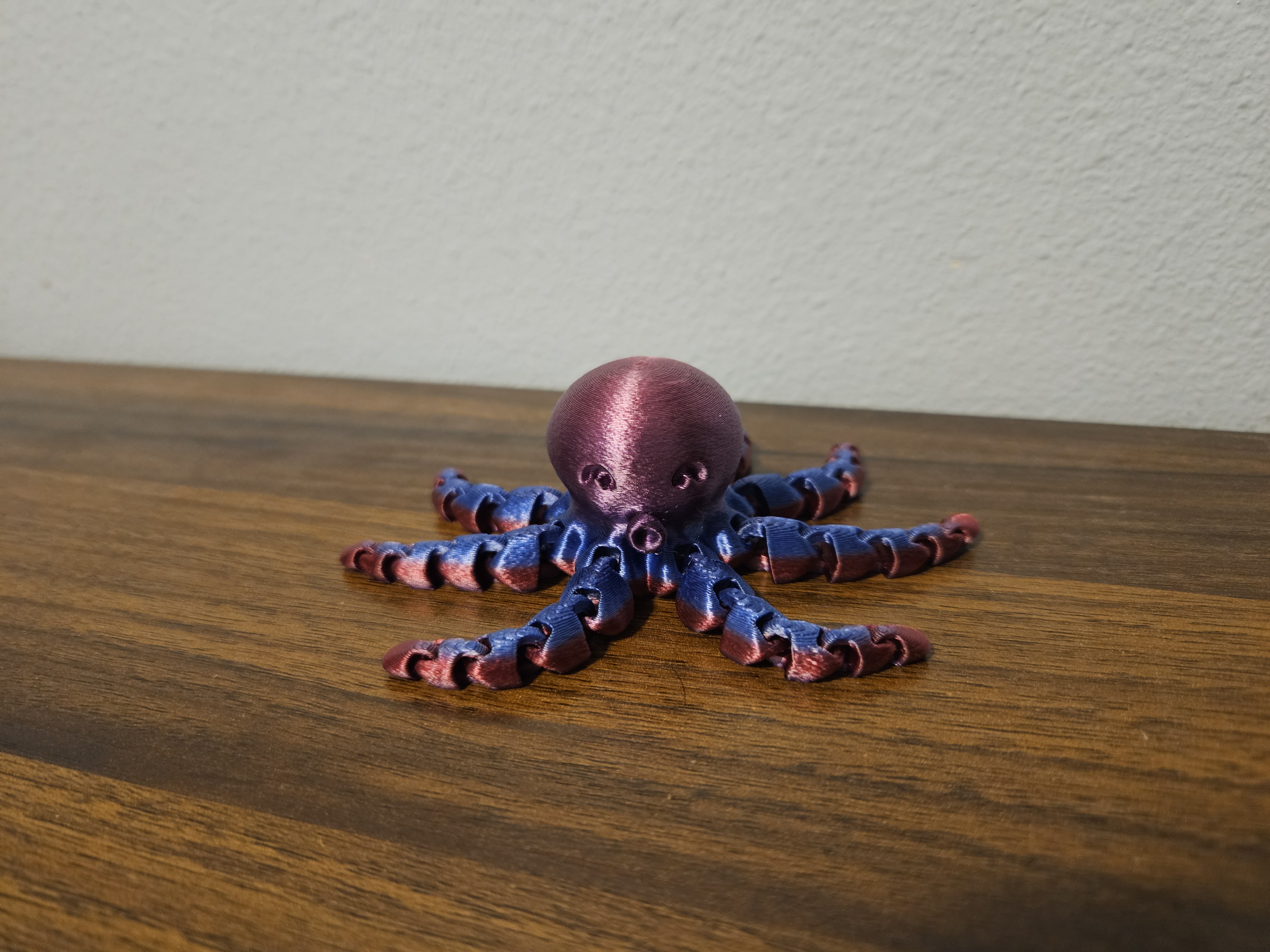 octopus